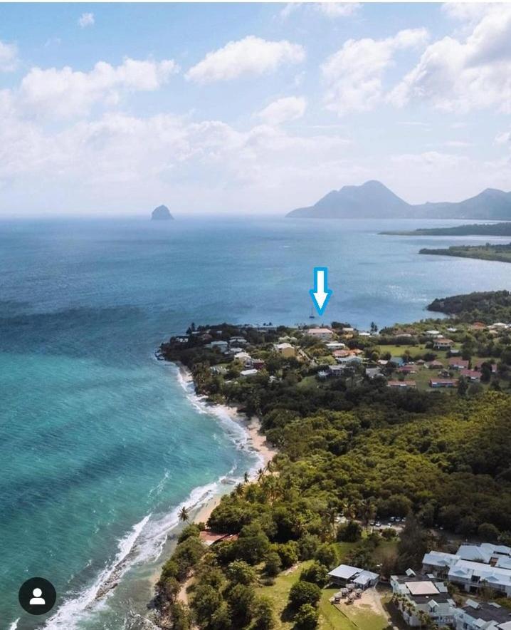 Appartement A Anse Mabouya En Rez De Jardin Avec Piscine A Proximite Des Plages Sainte-Luce Exterior foto