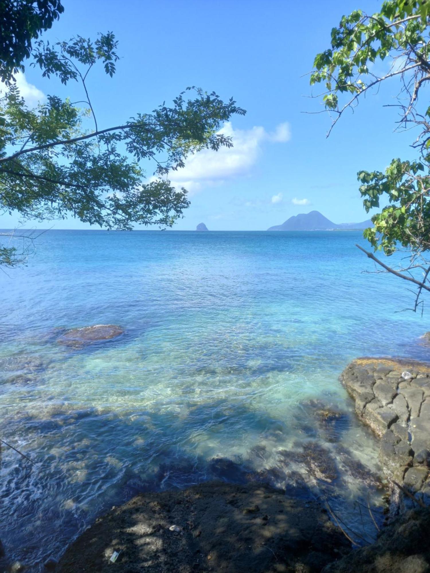 Appartement A Anse Mabouya En Rez De Jardin Avec Piscine A Proximite Des Plages Sainte-Luce Exterior foto